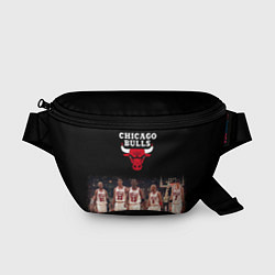 Поясная сумка CHICAGO BULLS 3