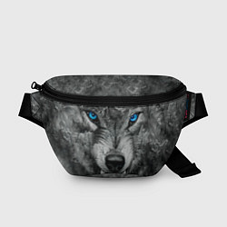 Поясная сумка Агрессивный волк с синими глазами, цвет: 3D-принт