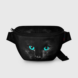 Поясная сумка Чёрный кот с бирюзовыми глазами, цвет: 3D-принт