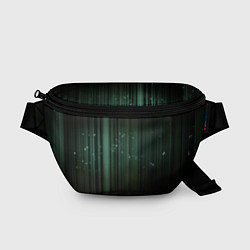 Поясная сумка Музыкальный зеленый спектр, цвет: 3D-принт