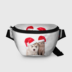 Поясная сумка Пёсик и котик в шапочках, цвет: 3D-принт