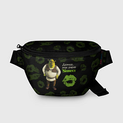 Поясная сумка Shrexy Shrek, цвет: 3D-принт
