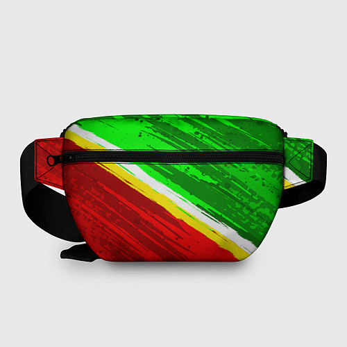 Поясная сумка Расцветка Зеленоградского флага / 3D-принт – фото 2