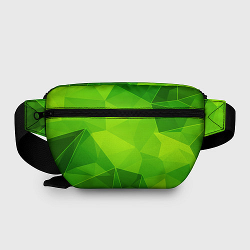 Поясная сумка Galatasaray green poly / 3D-принт – фото 2
