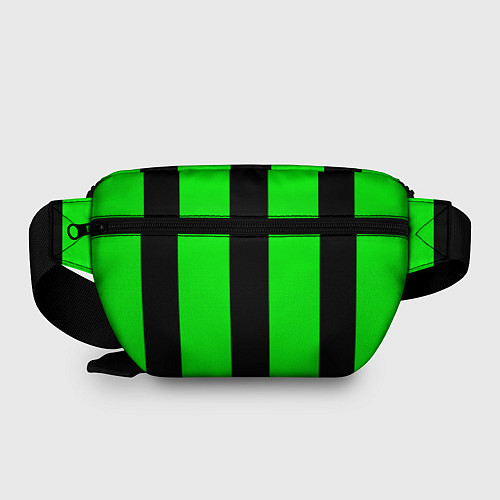 Поясная сумка Color green black line / 3D-принт – фото 2