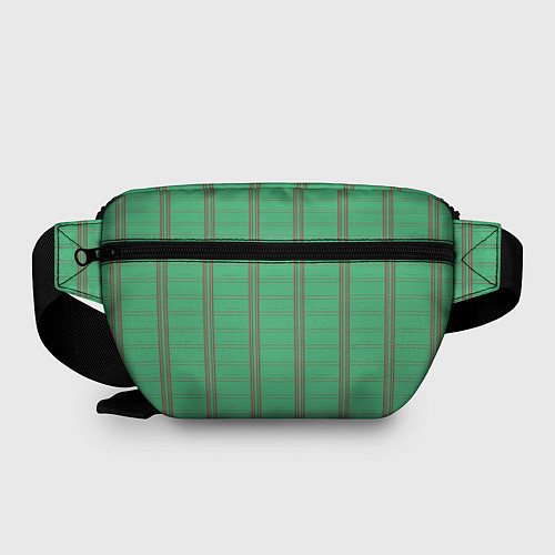 Поясная сумка Color green cage brown stripes / 3D-принт – фото 2