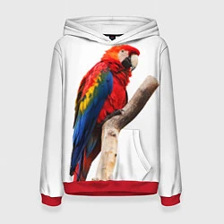Толстовка-худи женская Яркий попугай, цвет: 3D-красный
