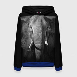 Толстовка-худи женская Взгляд слона, цвет: 3D-синий