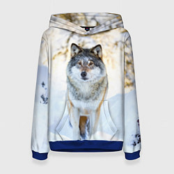 Женская толстовка Я зимой