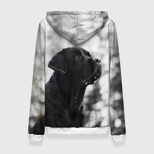Женская толстовка Лабрадор Марк / 3D-Белый – фото 2