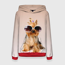 Толстовка-худи женская Собака в очках, цвет: 3D-красный