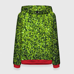 Толстовка-худи женская Зелёная трава листья, цвет: 3D-красный
