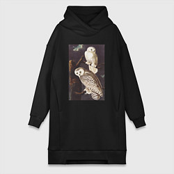 Женское худи-платье Snowy Owl Сова, цвет: черный