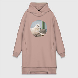 Женская толстовка-платье Волк отдыхает на камне