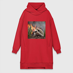 Женское худи-платье Ёжик в огне, цвет: красный