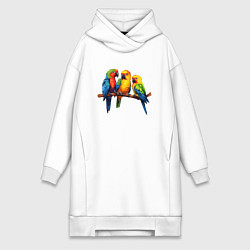 Женское худи-платье Разговор попугаев, цвет: белый