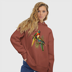 Толстовка оверсайз женская Тропические попугаи, цвет: кирпичный — фото 2