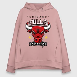 Толстовка оверсайз женская Chicago Bulls est. 1966, цвет: пыльно-розовый