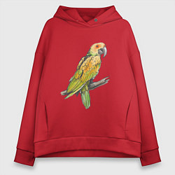 Толстовка оверсайз женская Любимый попугай, цвет: красный