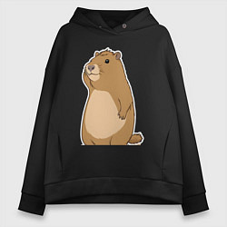 Женское худи оверсайз Прекрасная капибара