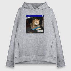 Толстовка оверсайз женская Моя любимая рыба, цвет: меланж