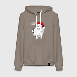 Толстовка-худи хлопковая женская НОВОГОДНИЙ КОТ БЕНДЕР МЕМ, цвет: утренний латте