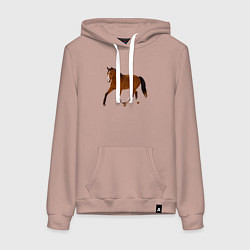 Толстовка-худи хлопковая женская Голландская теплокровная, цвет: пыльно-розовый