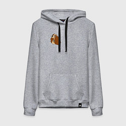 Толстовка-худи хлопковая женская Леди со спагетти - парная из мф Леди и Бродяга: ко, цвет: меланж