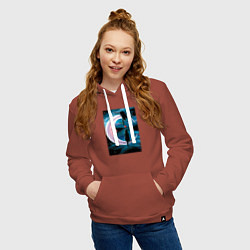 Толстовка-худи хлопковая женская Кошачья любовь на луне, цвет: кирпичный — фото 2