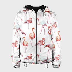 Женская куртка Действия фламинго
