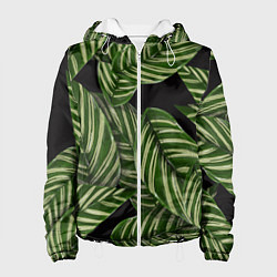 Куртка с капюшоном женская Тропические большие листья, цвет: 3D-белый
