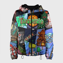 Женская куртка Terraria