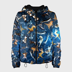 Женская куртка Космические коты