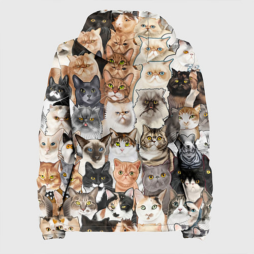 Женская куртка Котики смешные / 3D-Белый – фото 2