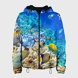 Женская куртка Морской мир