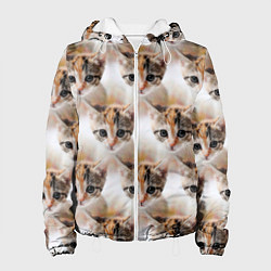 Женская куртка Маленький котенок паттерн