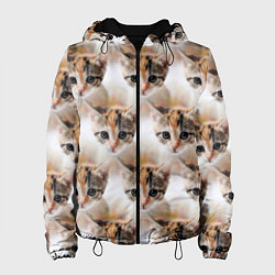 Женская куртка Маленький котенок паттерн