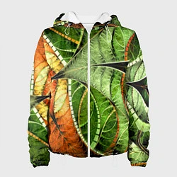 Куртка с капюшоном женская Растительный абстрактный фрактальный паттерн Veget, цвет: 3D-белый