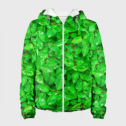 Куртка с капюшоном женская Зелёные листья - текстура, цвет: 3D-белый