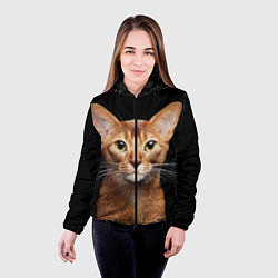 Куртка с капюшоном женская Молодая абиссинская кошечка, цвет: 3D-черный — фото 2