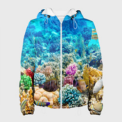 Женская куртка Дно морское