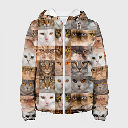 Куртка с капюшоном женская Pedigreed cats, цвет: 3D-белый