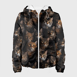 Куртка с капюшоном женская Паттерн из котов, цвет: 3D-белый