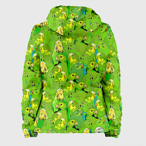 Женская куртка Зеленые волнистые попугайчики / 3D-Белый – фото 2