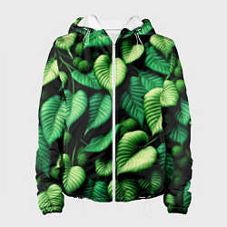 Куртка с капюшоном женская Зеленые листья и мох, цвет: 3D-белый