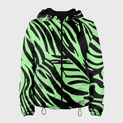 Женская куртка Чёрно-зелёный полосками