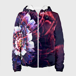Женская куртка Фрактальный цветок абстракция