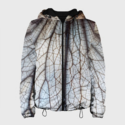 Женская куртка Прожилки растения