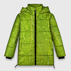 Куртка зимняя женская Листок с росой, цвет: 3D-черный