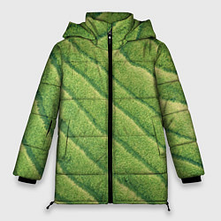 Женская зимняя куртка Травяной паттерн